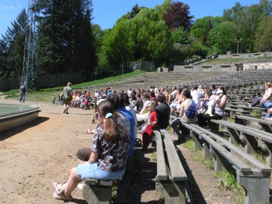 V ZOO, výcvik dravců, diváci V ZOO, výcvik dravců, diváci