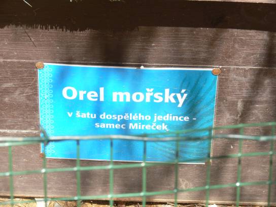 Jmenovka dravce Jmenovka dravce