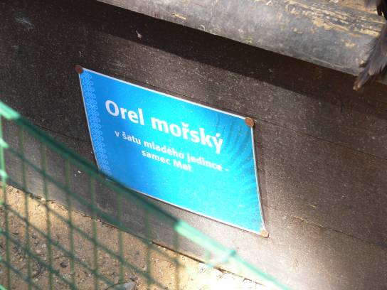 Jmenovka dravce Jmenovka dravce