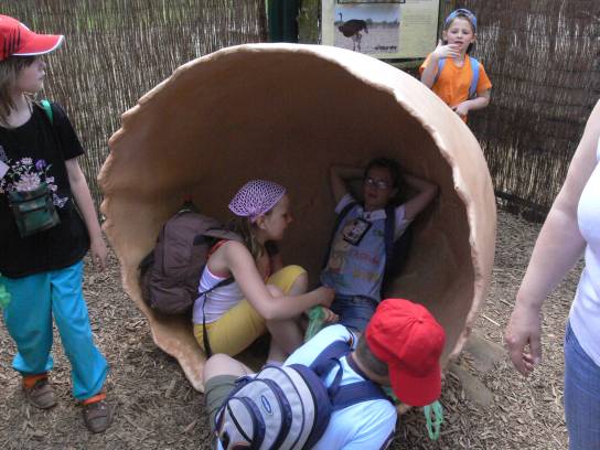 Skořápka od vajíčka Skořápka od vajíčka