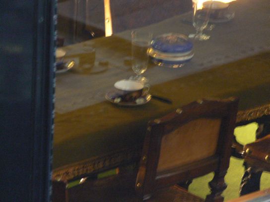 46. Pohled do okna salonního vozu
