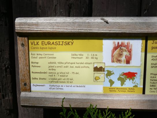20. Tabulka vlka eurasijského
