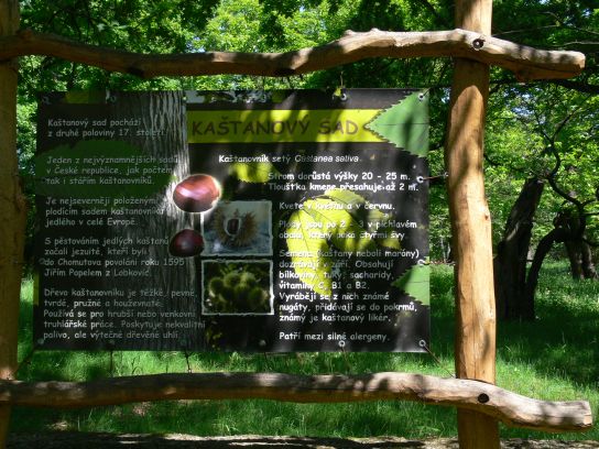 26. Infotmační tabule kaštanového sadu

