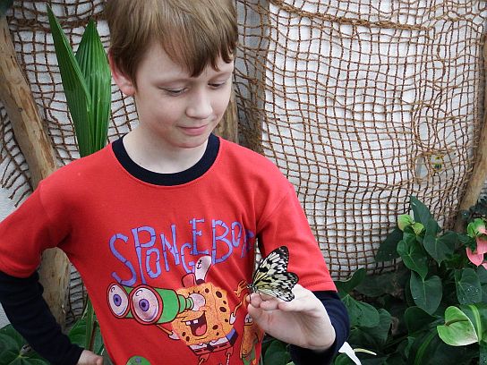 35. Motýl na ruce účastníka srazu
