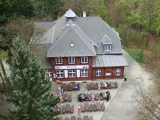 48. Pohled z rozhledny
