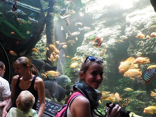 6. V podvodním tunelu
