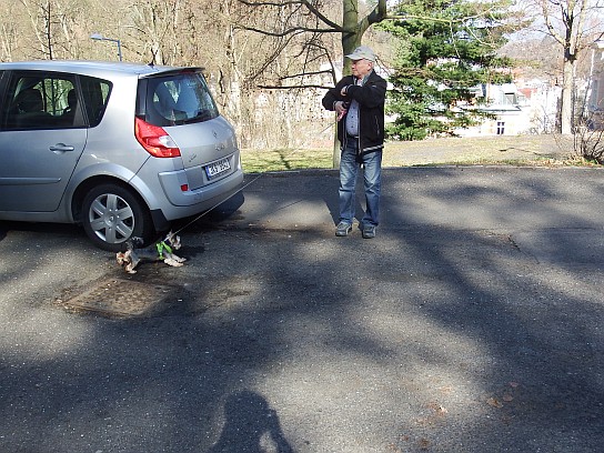 3. Srazu se zúčastnili i pejsci
