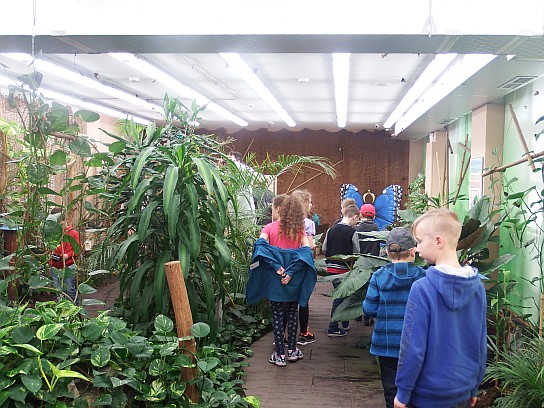 12. V Motýlím domě
