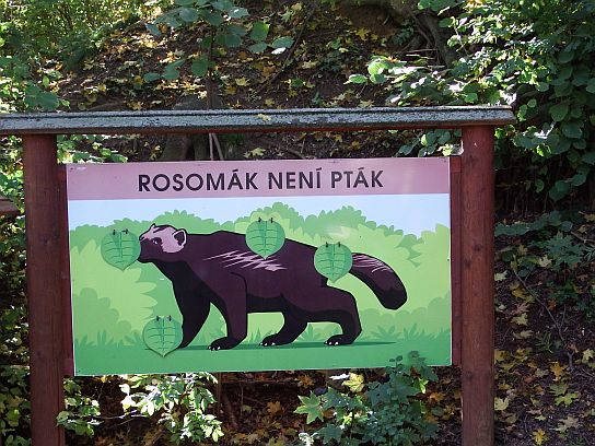 23. Rosomák není pták

