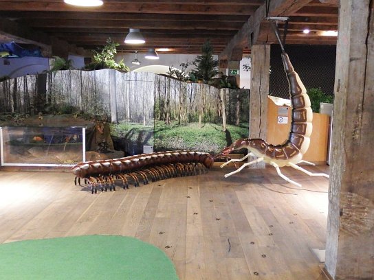 17. Zvětšené organismy
