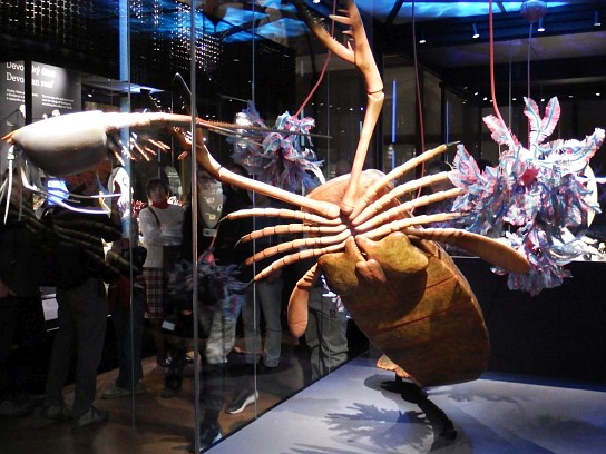 14. Exponáty v muzeu
