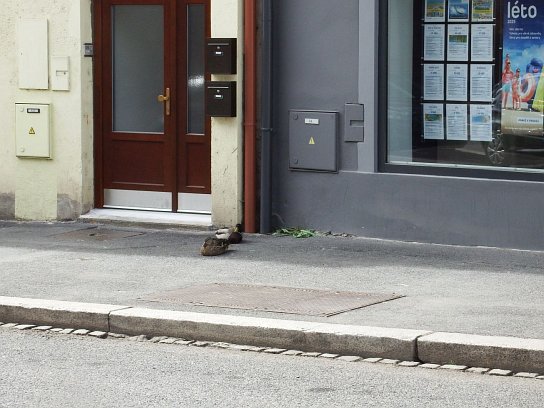 8. Kachny na chodníku
