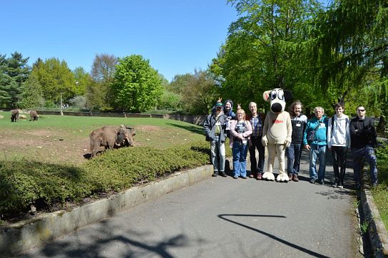 10. Skupinové foto u zubrů
