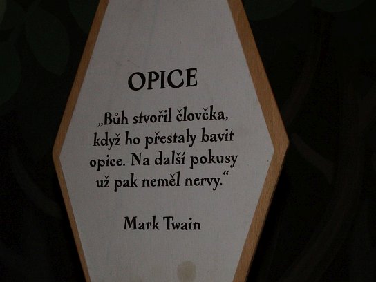 14. Informace o opicích
