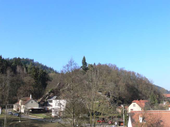 Nedvědice Nedvědice