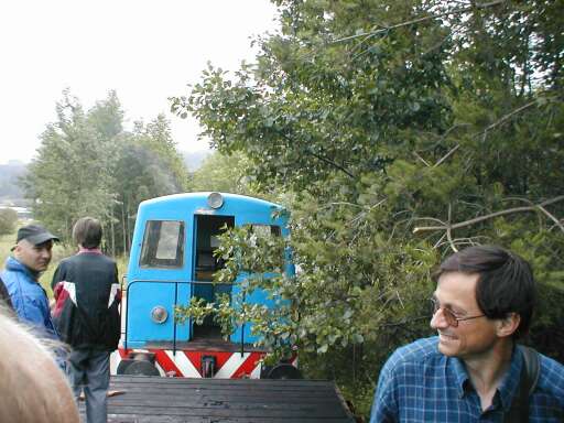 Zeleň zasahující do profilu Zeleň zasahující do profilu