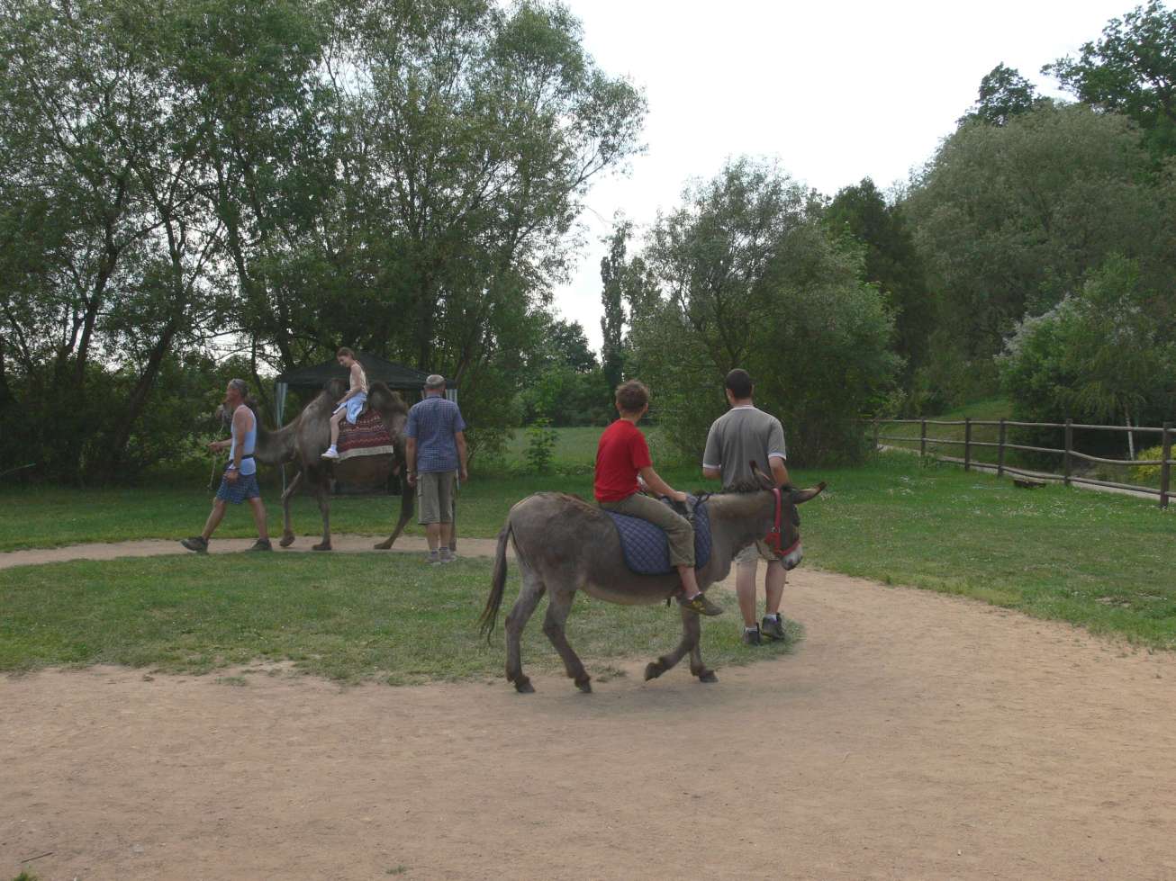 Jízda na oslíku a velbloudu