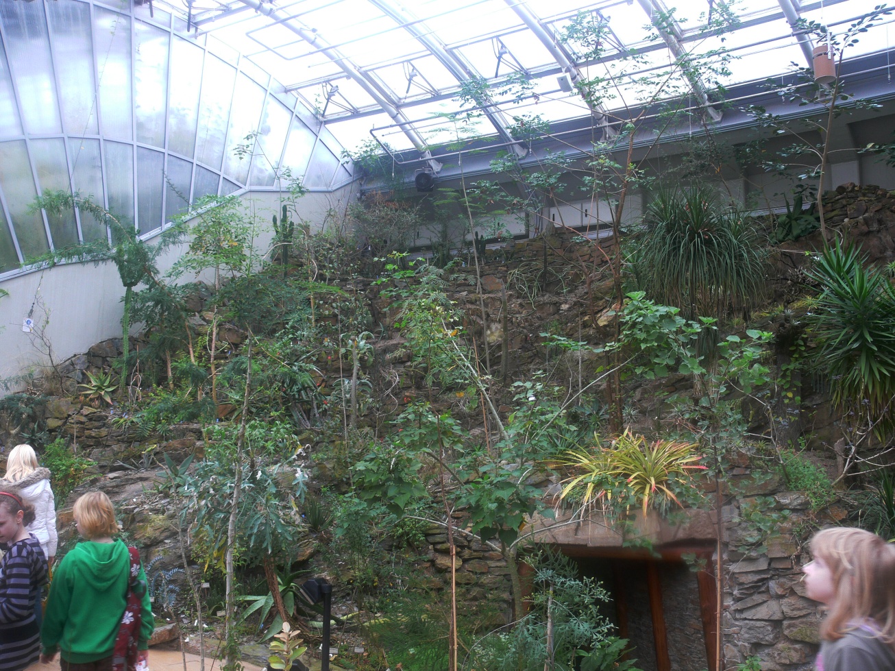 V botanické zahradě