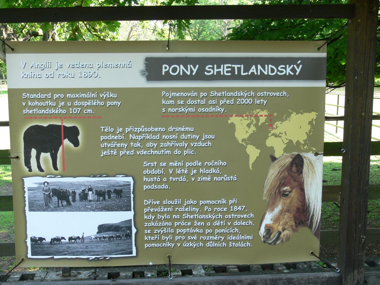 32. Informační tabulka poníka
