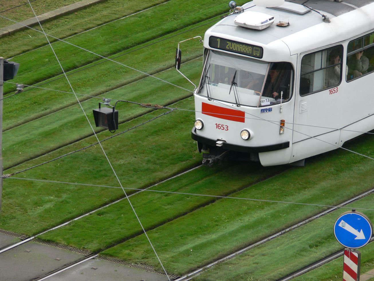 9. Šalina na trávě
