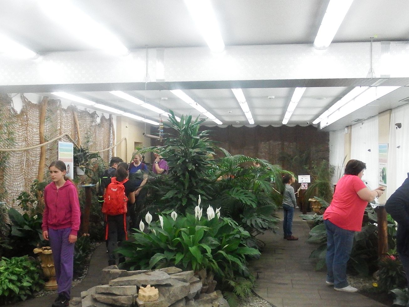 13. V Motýlím domě
