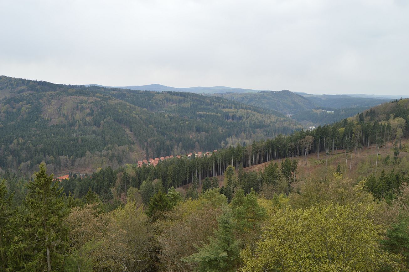 61. Pohled z rozhledny
