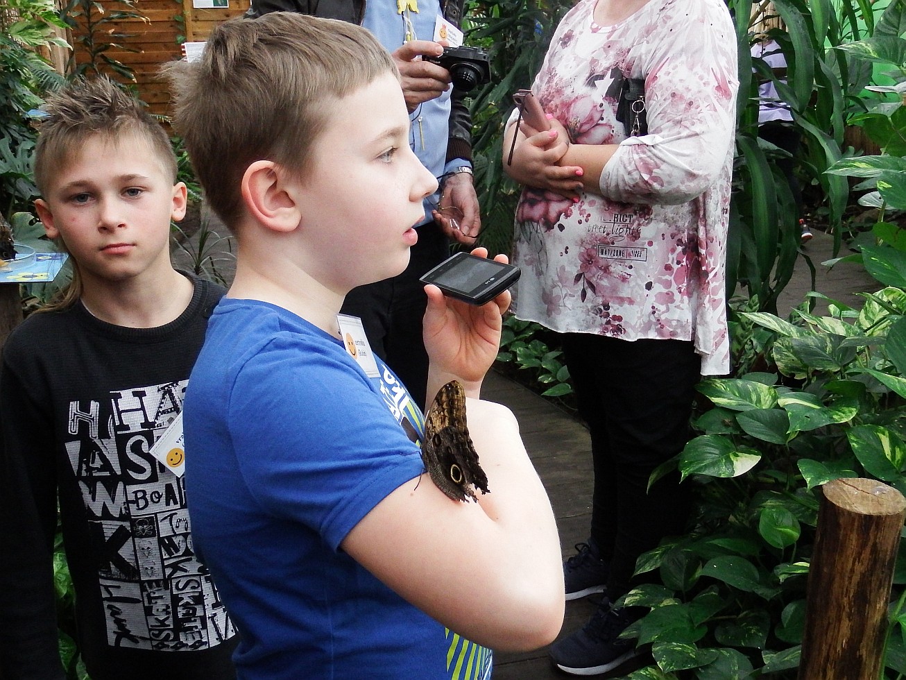 34. Motýl na rukávu
