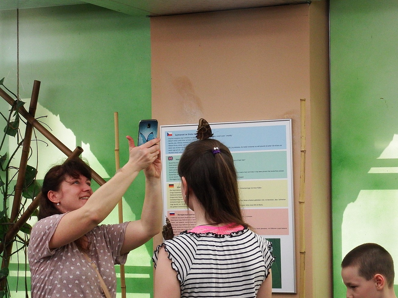 35. Motýl na hlavě
