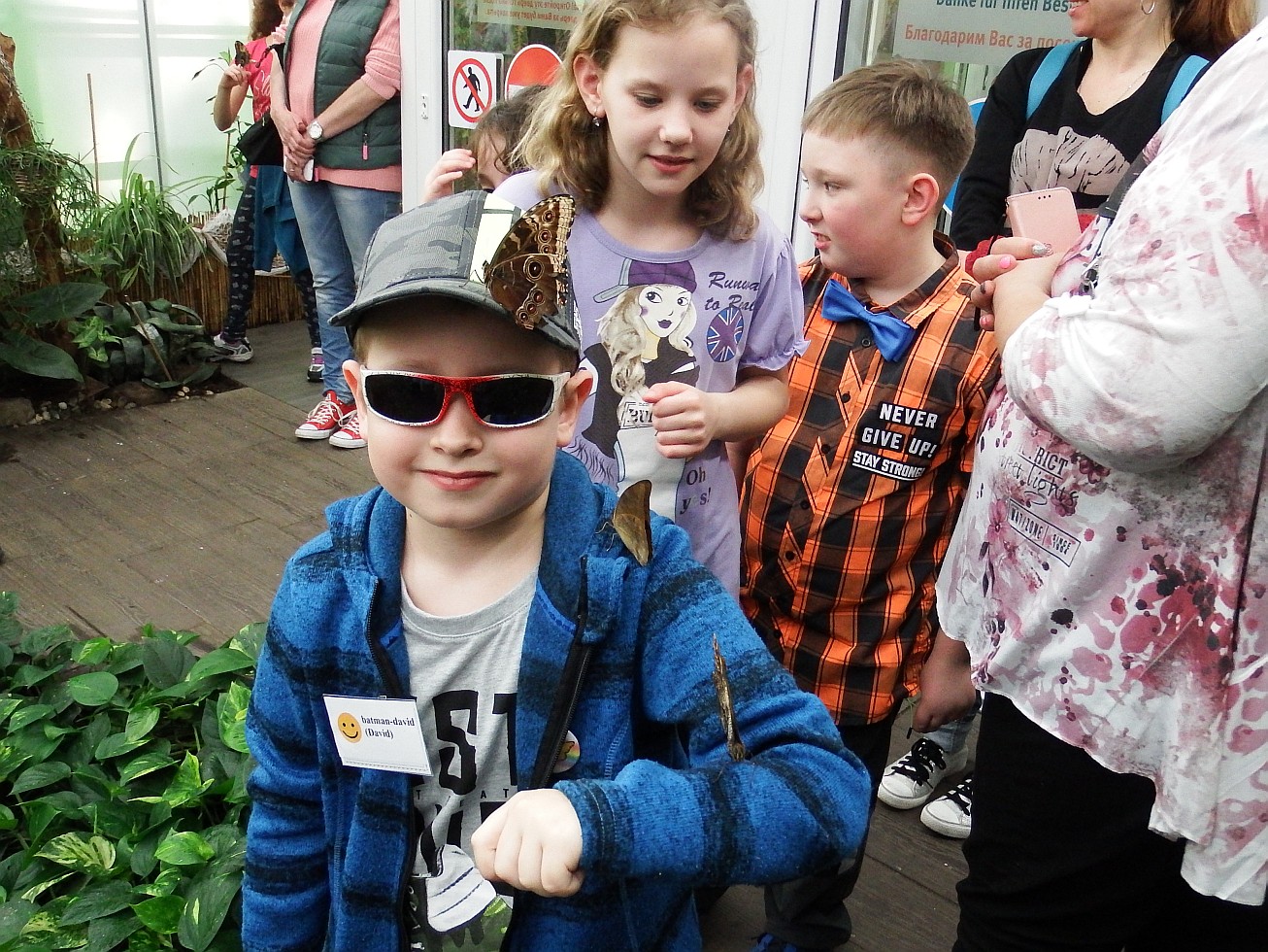 38. Tři motýli na jednom účastníkovi
