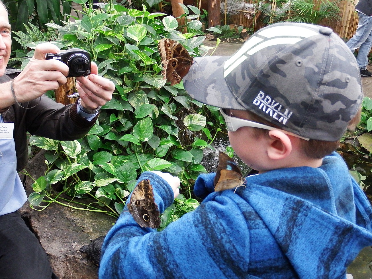39. Tři motýli na jednom účastníkovi
