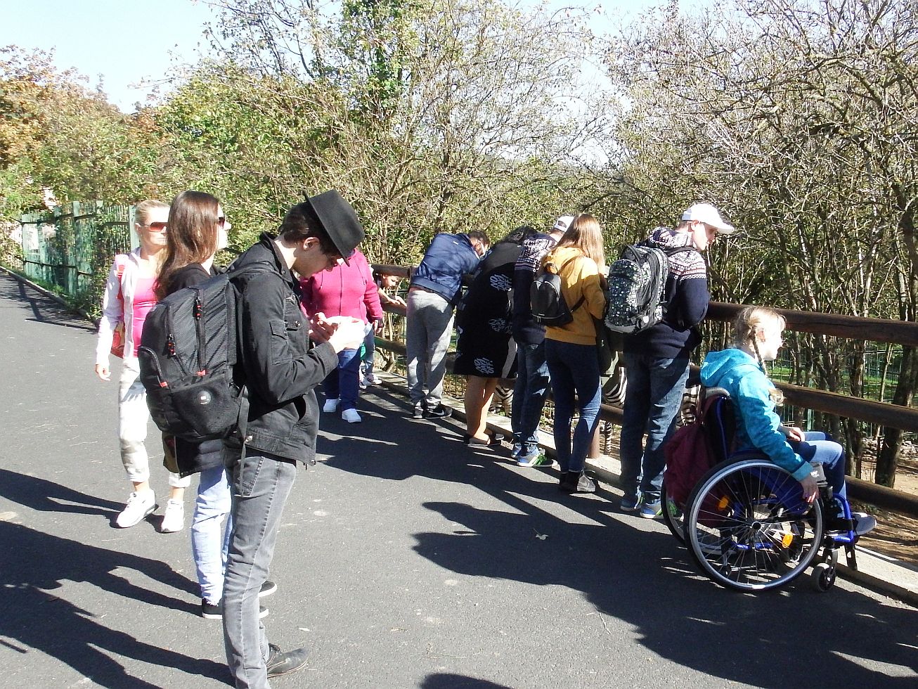 12. U výběhu se zebrami
