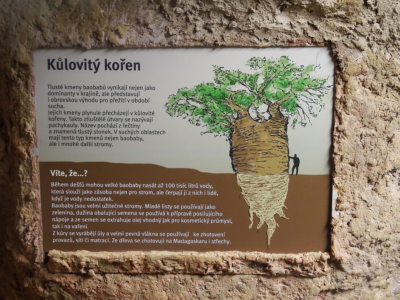 13. Tabulka v botanické zahradě
