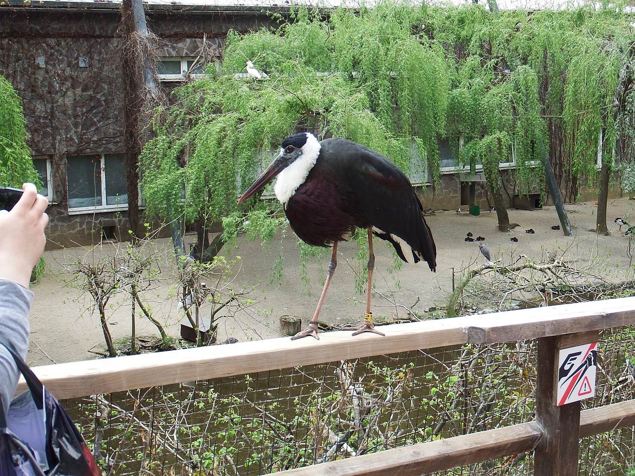 23. Pták na zábradlí
