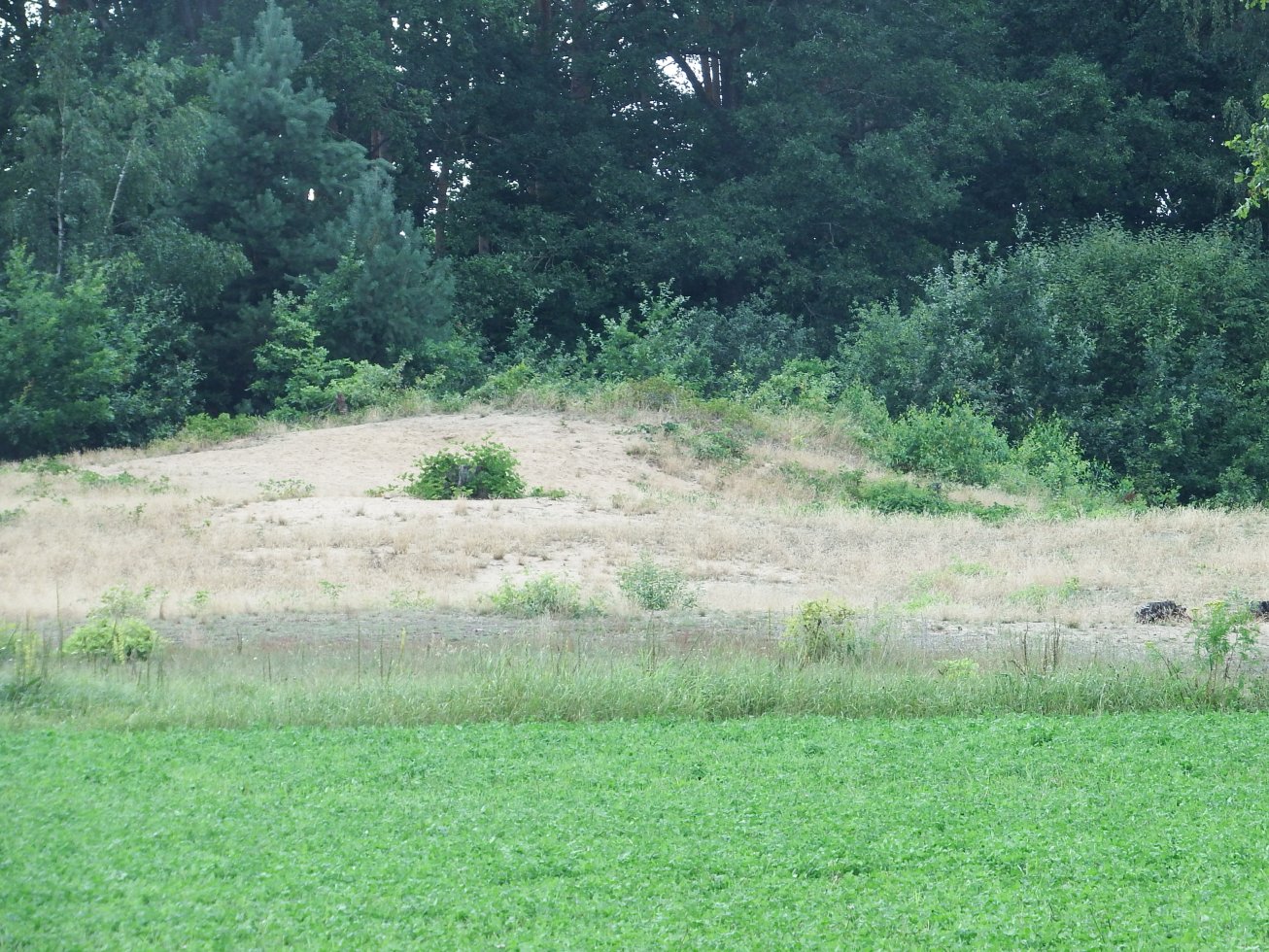 10. Přesyp
