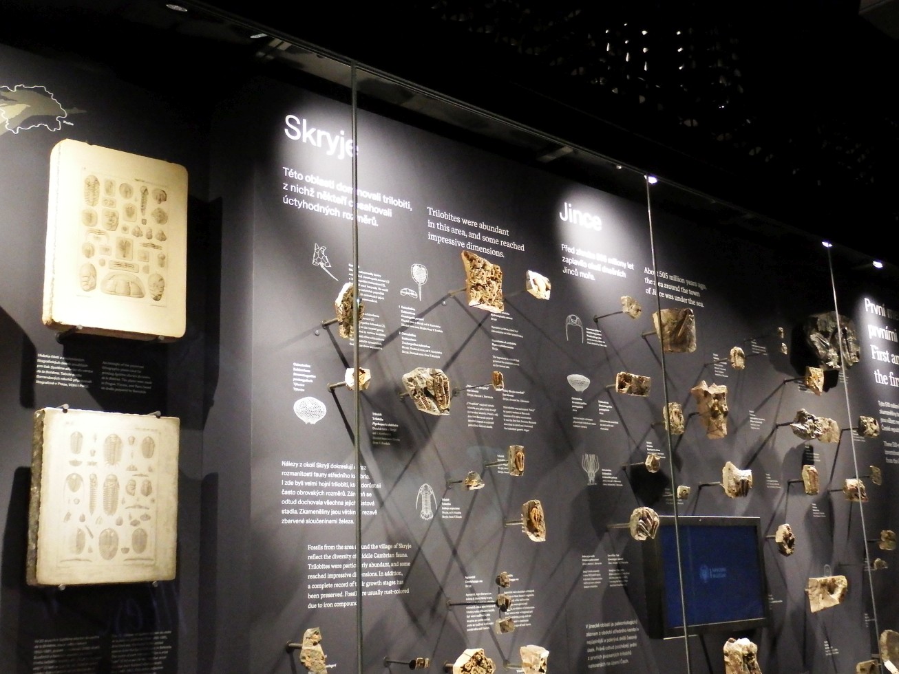 11. Exponáty v muzeu
